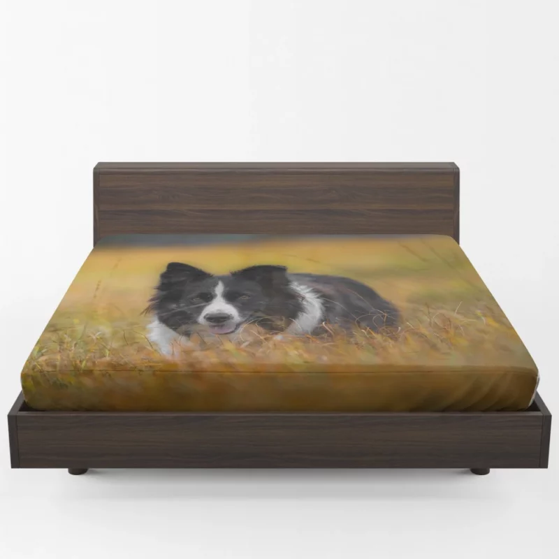 Border Collie Autumn Meadow Run Fitted Sheet