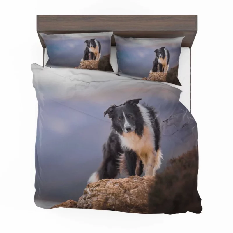 Border Collie Captivating Stare Bedding Set 1