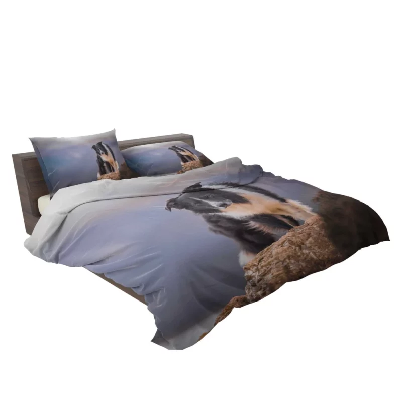 Border Collie Captivating Stare Bedding Set 2