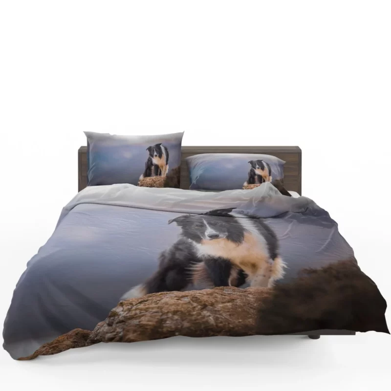 Border Collie Captivating Stare Bedding Set