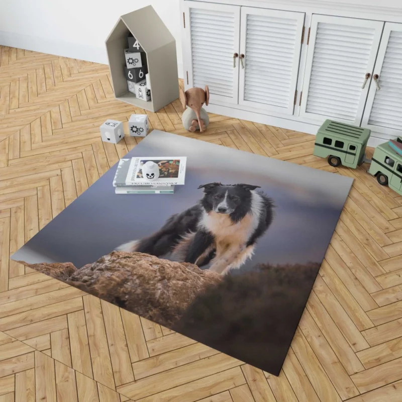 Border Collie Captivating Stare Rug 1