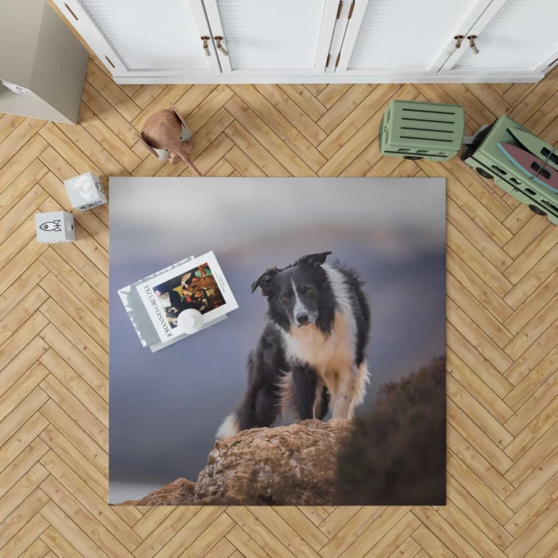 Border Collie Captivating Stare Rug