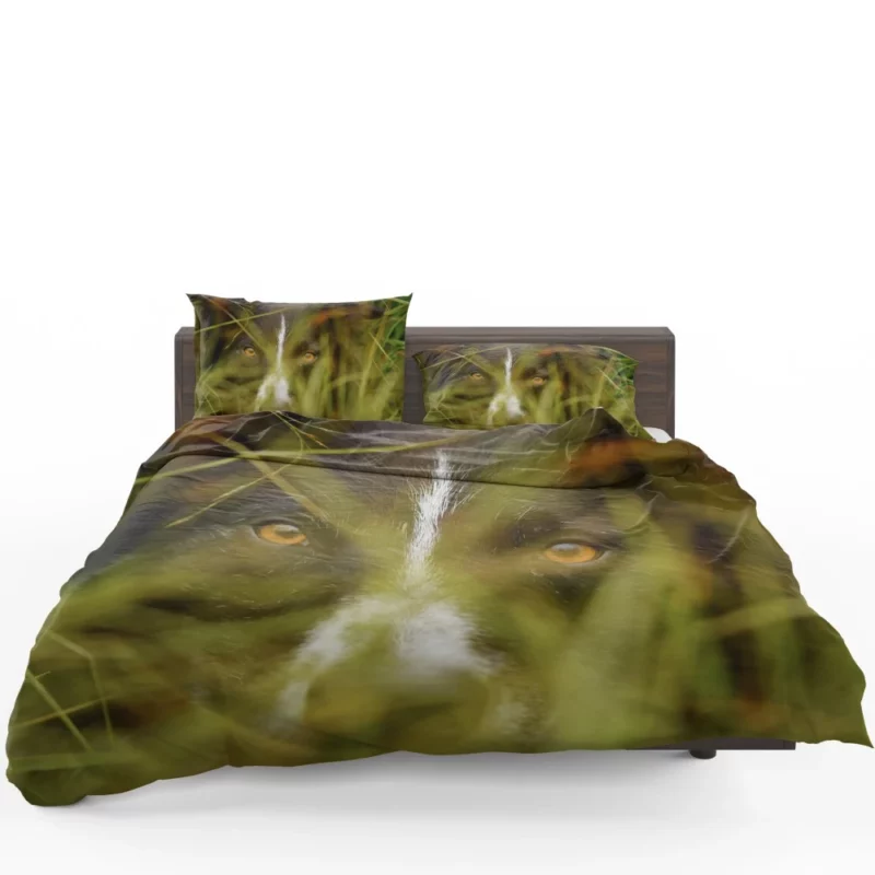 Border Collie Close-Up Eyes of Curiosity Bedding Set