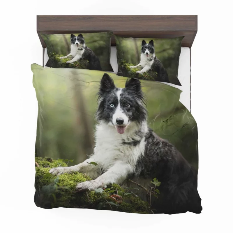 Border Collie Depth of Field Charm Bedding Set 1