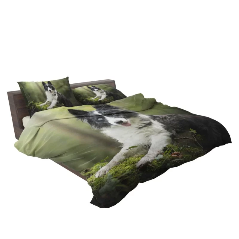 Border Collie Depth of Field Charm Bedding Set 2