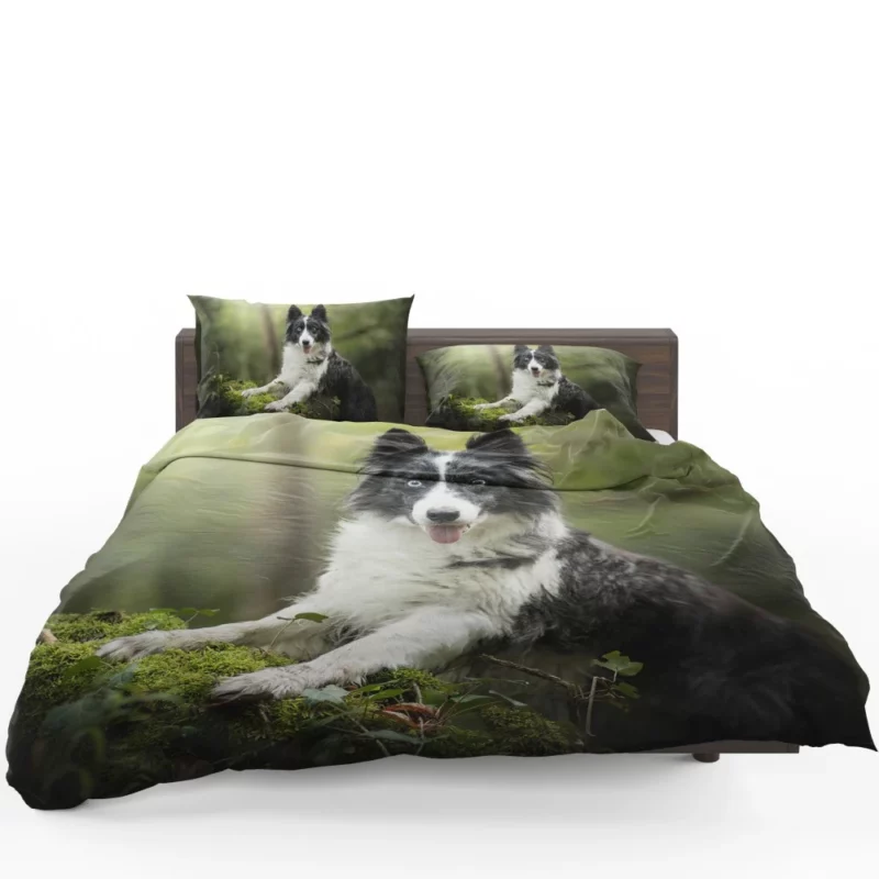 Border Collie Depth of Field Charm Bedding Set