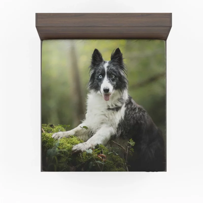 Border Collie Depth of Field Charm Fitted Sheet 1