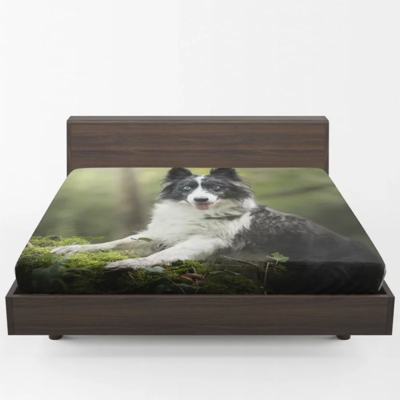 Border Collie Depth of Field Charm Fitted Sheet