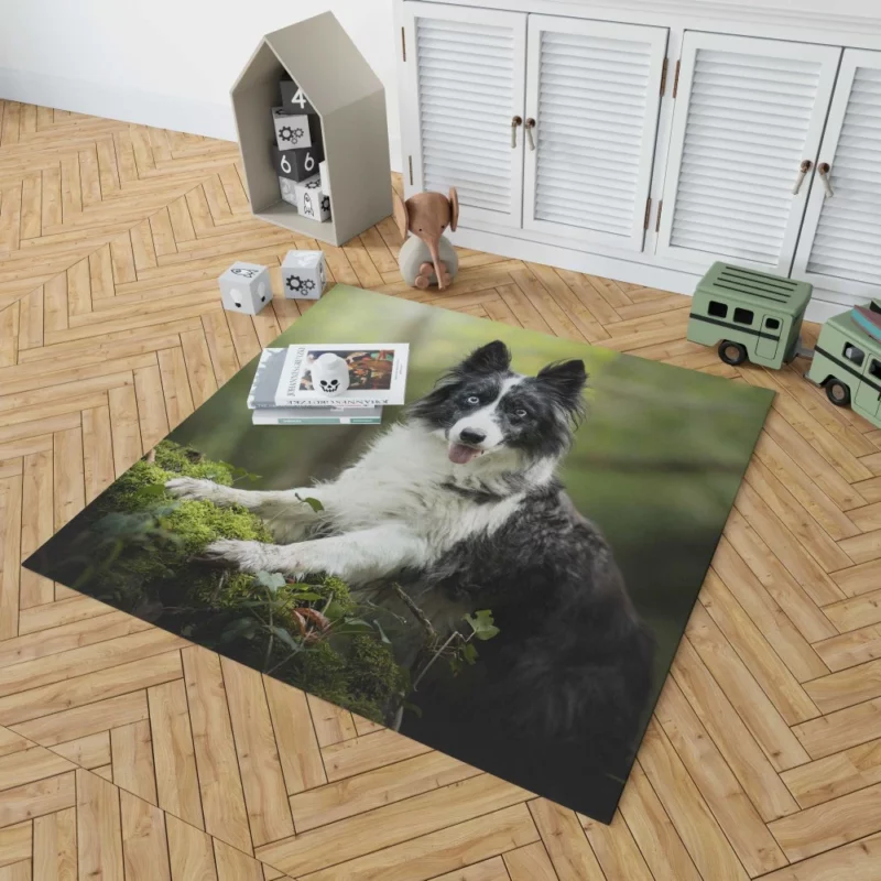 Border Collie Depth of Field Charm Rug 1