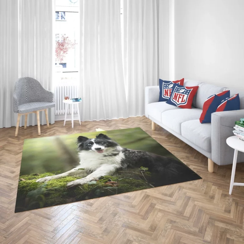 Border Collie Depth of Field Charm Rug 2