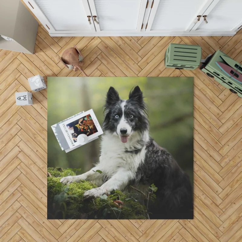 Border Collie Depth of Field Charm Rug