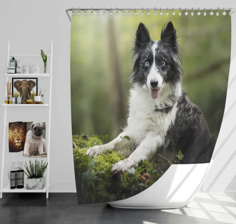 Border Collie Depth of Field Charm Shower Curtain