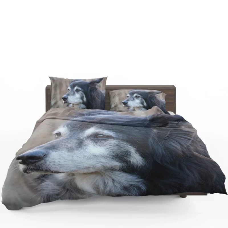 Border Collie Energetic Charm Active Companion Bedding Set