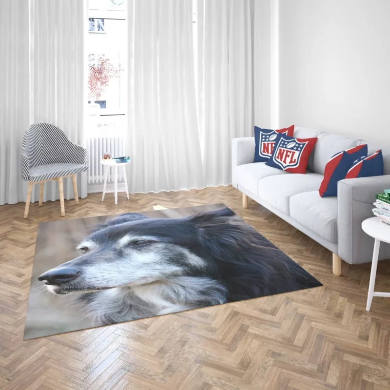 Border Collie Energetic Charm Active Companion Rug 2