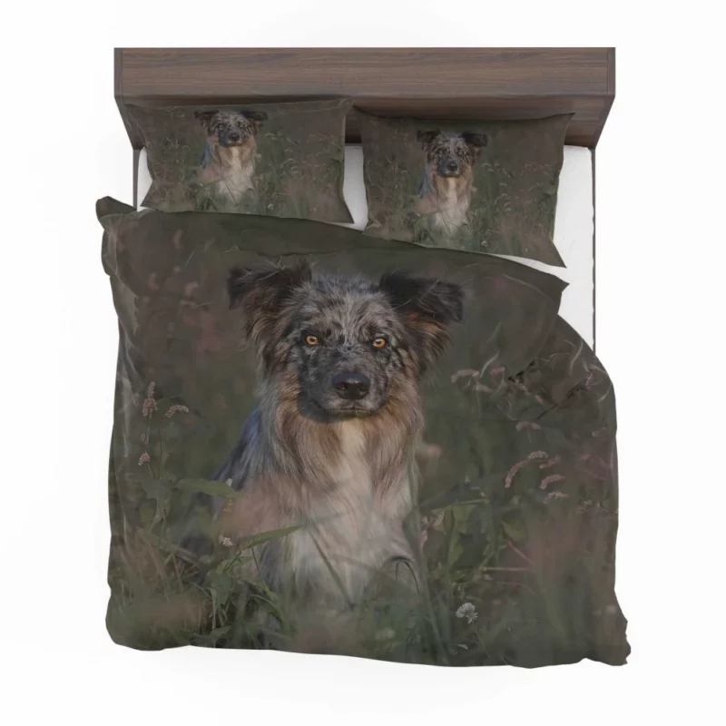 Border Collie Energetic Playfulness Bedding Set 1