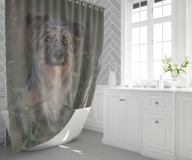 Border Collie Energetic Playfulness Shower Curtain 1