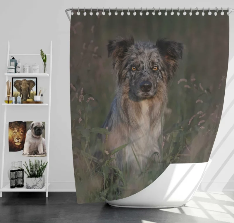 Border Collie Energetic Playfulness Shower Curtain