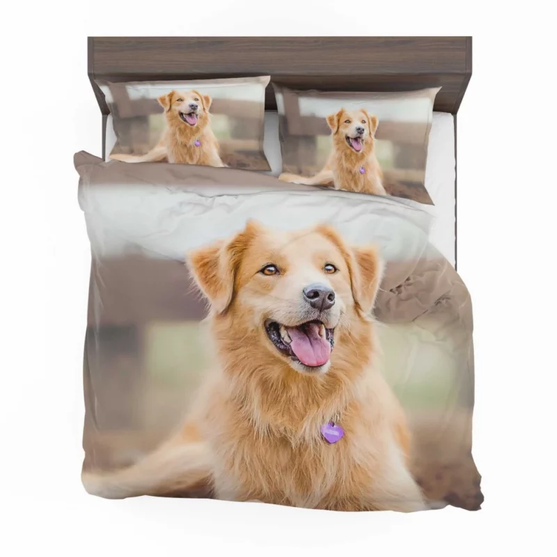 Border Collie Energetic Presence Furry Dynamo Bedding Set 1