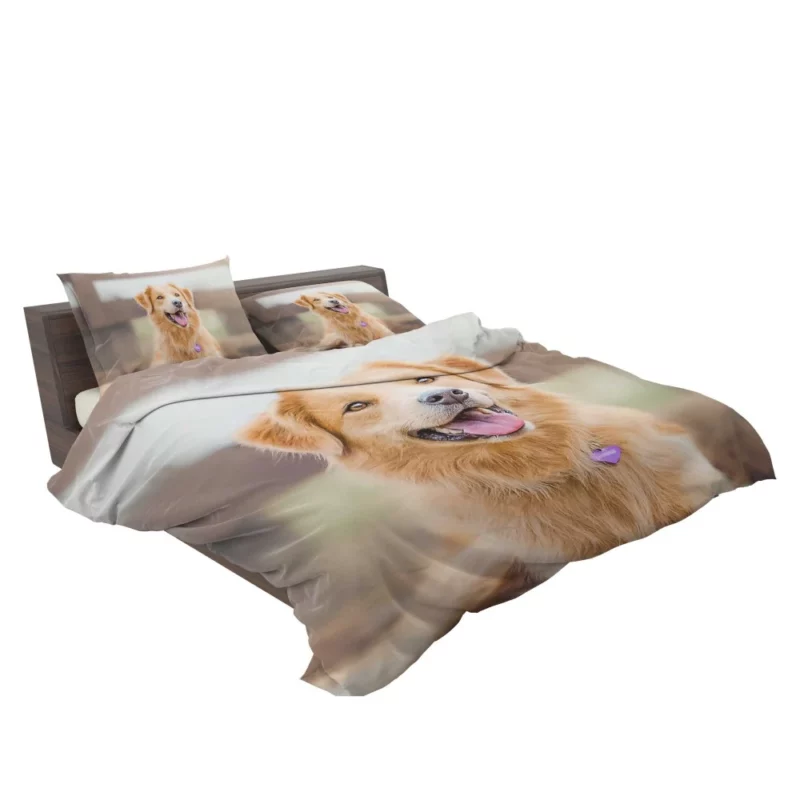 Border Collie Energetic Presence Furry Dynamo Bedding Set 2