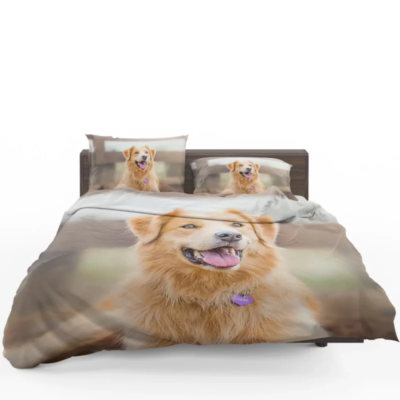 Border Collie Energetic Presence Furry Dynamo Bedding Set