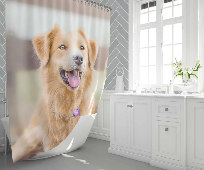 Border Collie Energetic Presence Furry Dynamo Shower Curtain 1