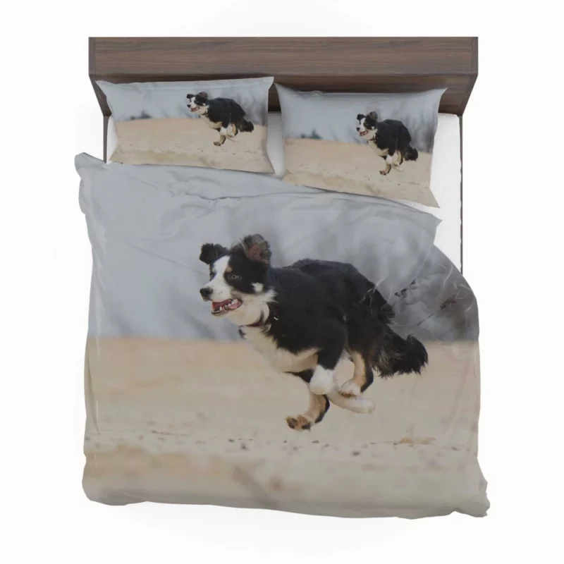 Border Collie Energetic Run Bedding Set 1