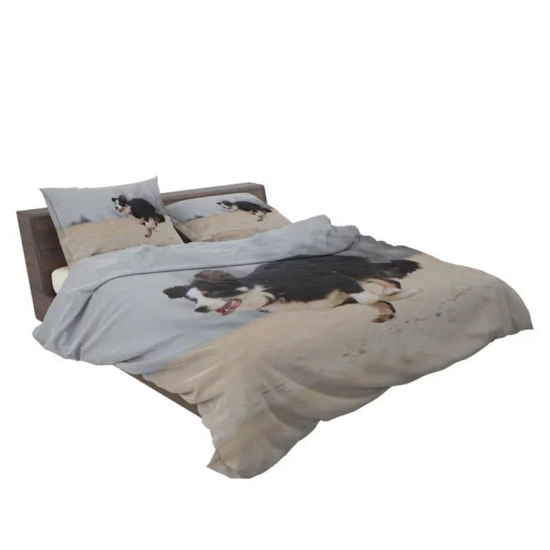 Border Collie Energetic Run Bedding Set 2