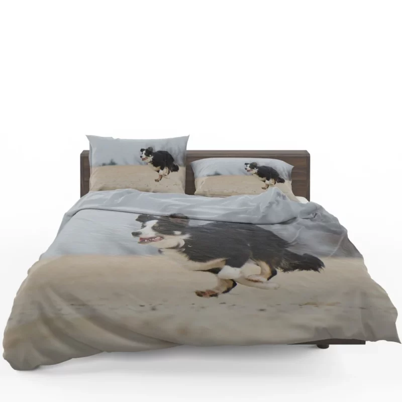 Border Collie Energetic Run Bedding Set