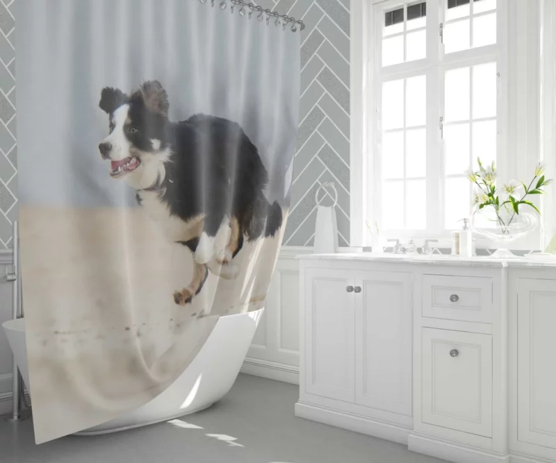 Border Collie Energetic Run Shower Curtain 1