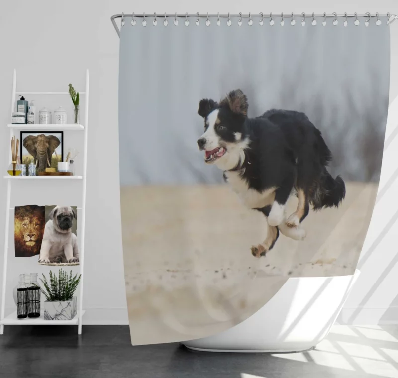 Border Collie Energetic Run Shower Curtain