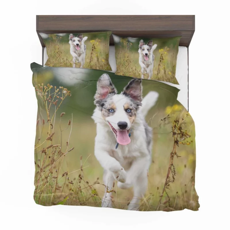 Border Collie Energetic Spirit Furry Dynamo Bedding Set 1