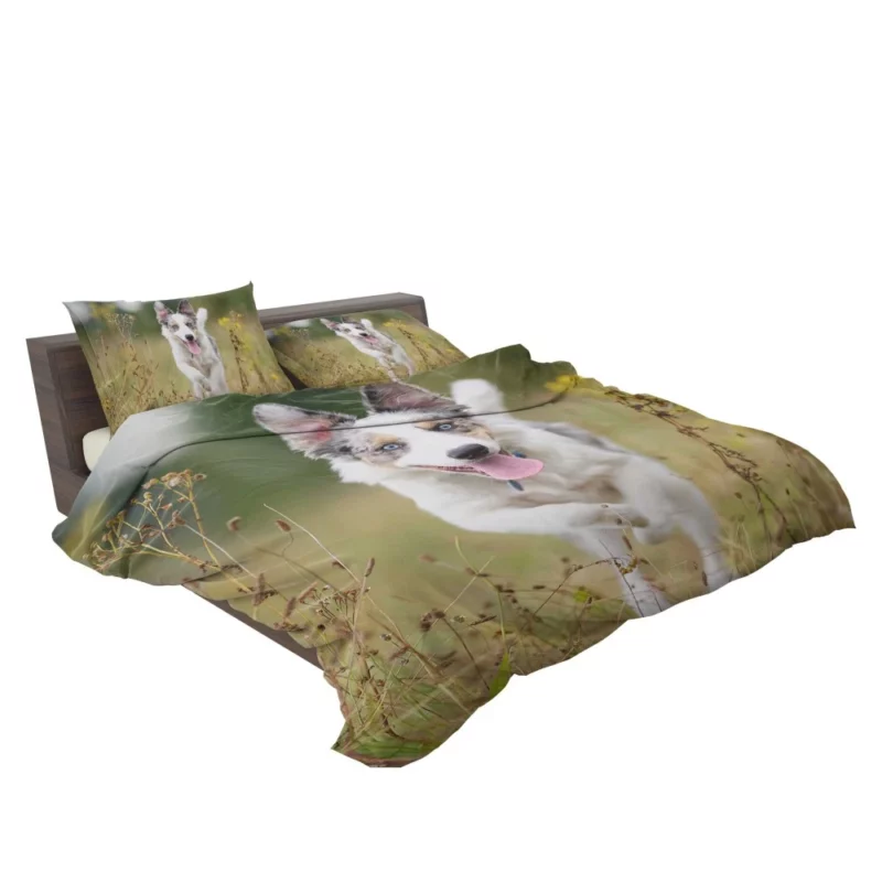 Border Collie Energetic Spirit Furry Dynamo Bedding Set 2