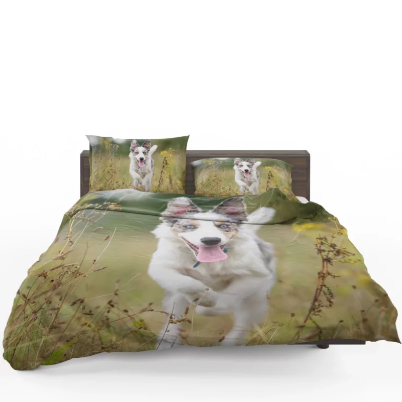 Border Collie Energetic Spirit Furry Dynamo Bedding Set