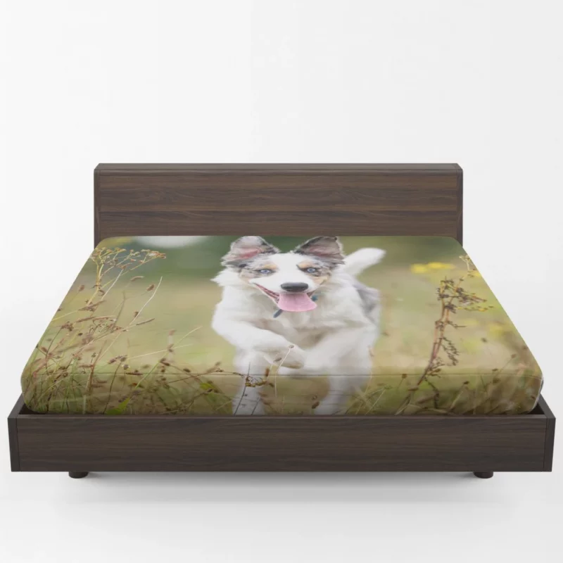 Border Collie Energetic Spirit Furry Dynamo Fitted Sheet