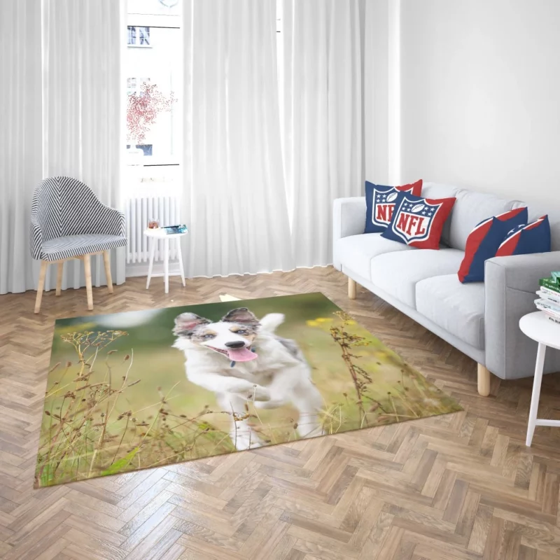 Border Collie Energetic Spirit Furry Dynamo Rug 2