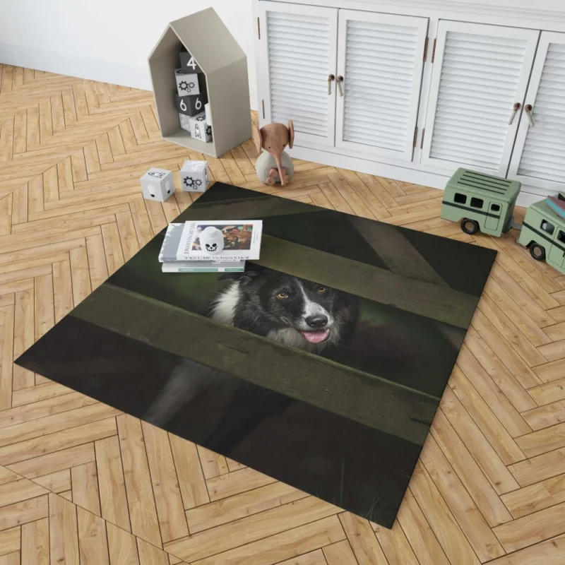 Border Collie Focused Stance Training Time Rug 1