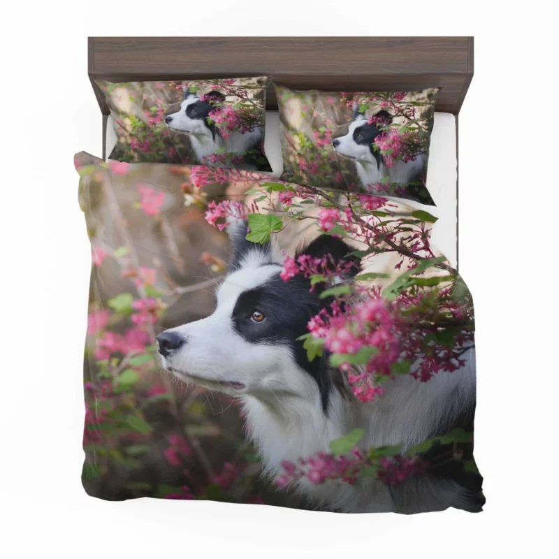 Border Collie Furry Elegance Bedding Set 1