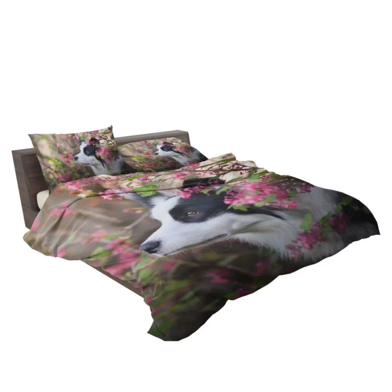 Border Collie Furry Elegance Bedding Set 2