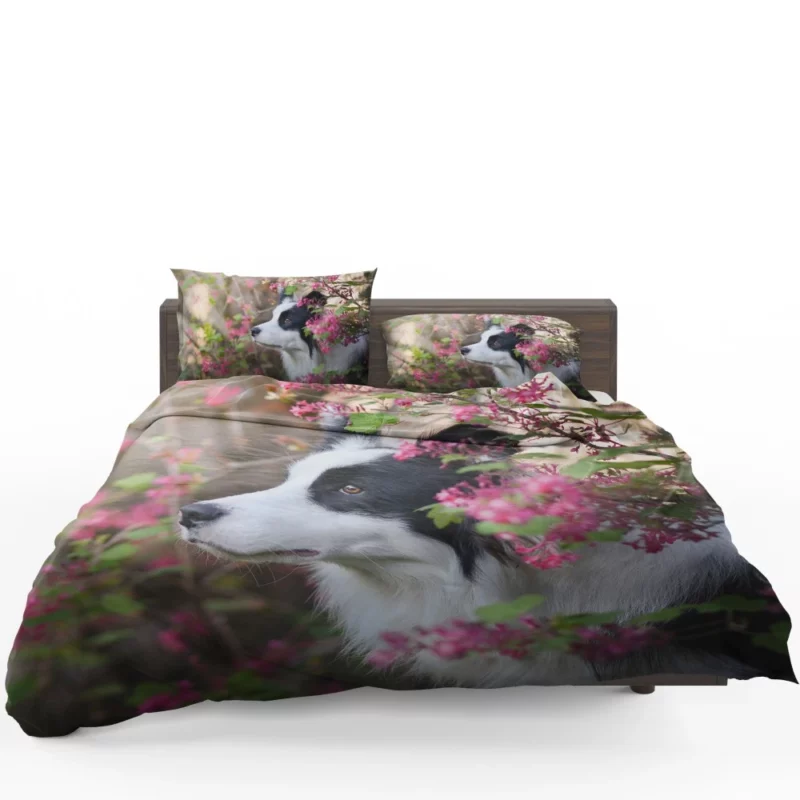 Border Collie Furry Elegance Bedding Set