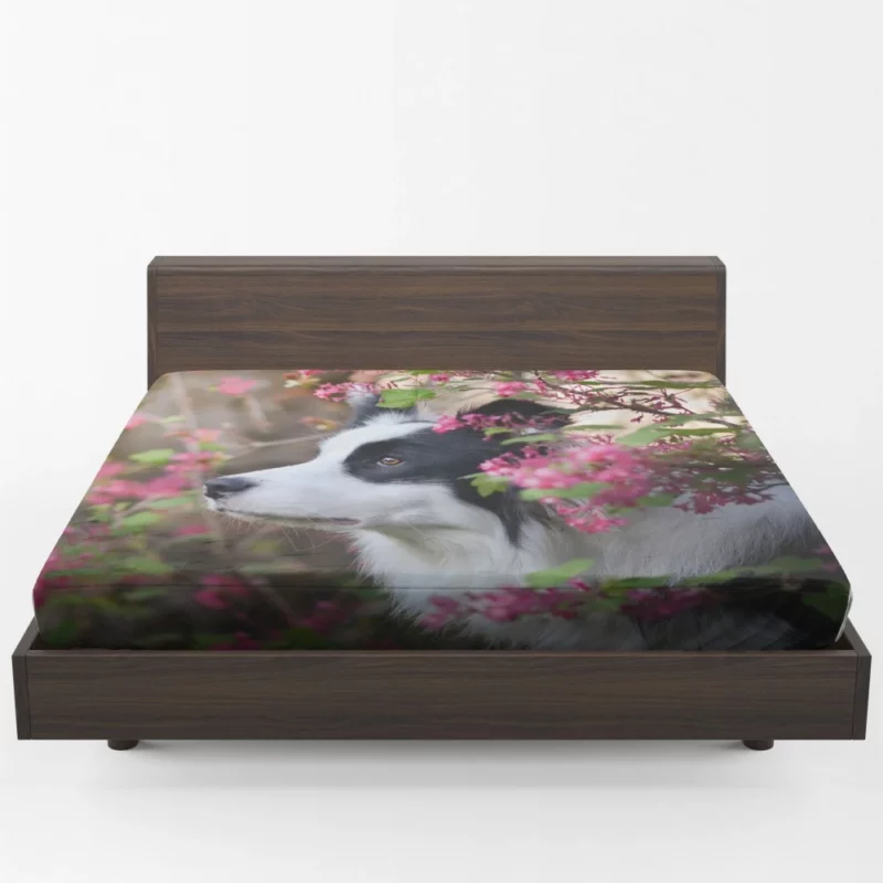 Border Collie Furry Elegance Fitted Sheet