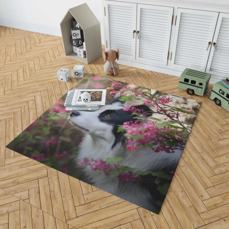 Border Collie Furry Elegance Rug 1