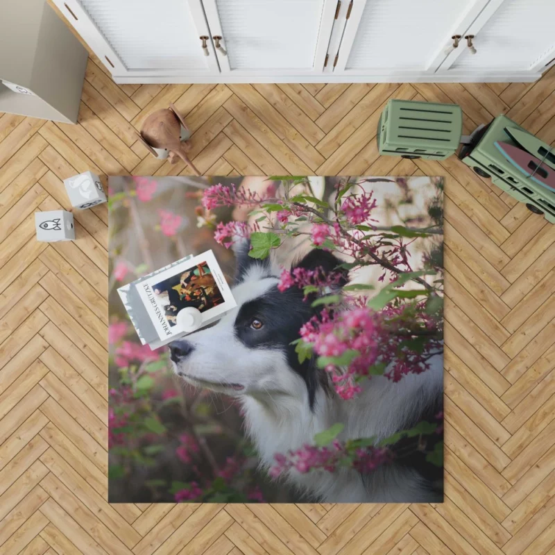 Border Collie Furry Elegance Rug