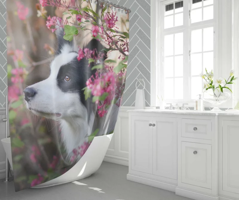 Border Collie Furry Elegance Shower Curtain 1