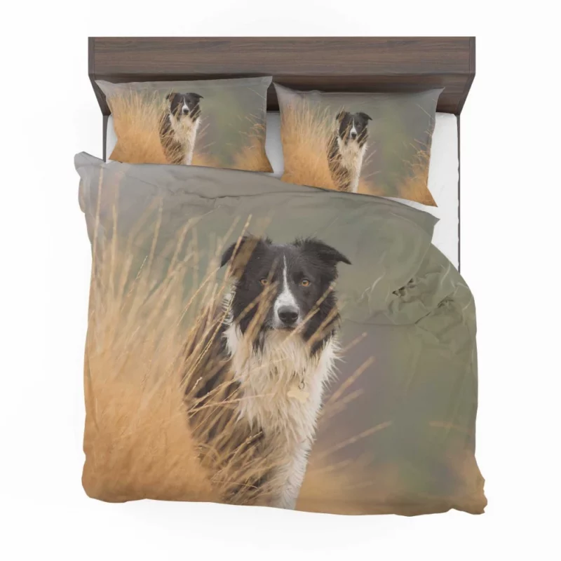 Border Collie Joyful Lakeside Romp Bedding Set 1