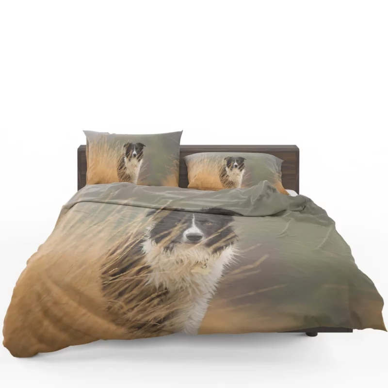 Border Collie Joyful Lakeside Romp Bedding Set