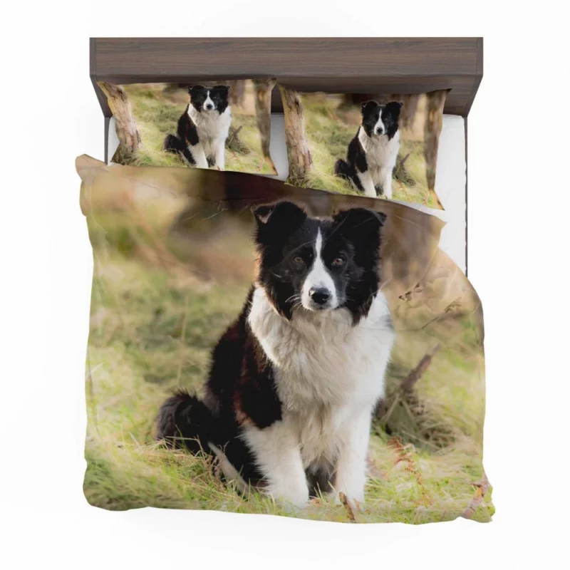 Border Collie Meadow Majesty Energetic Elegance Bedding Set 1