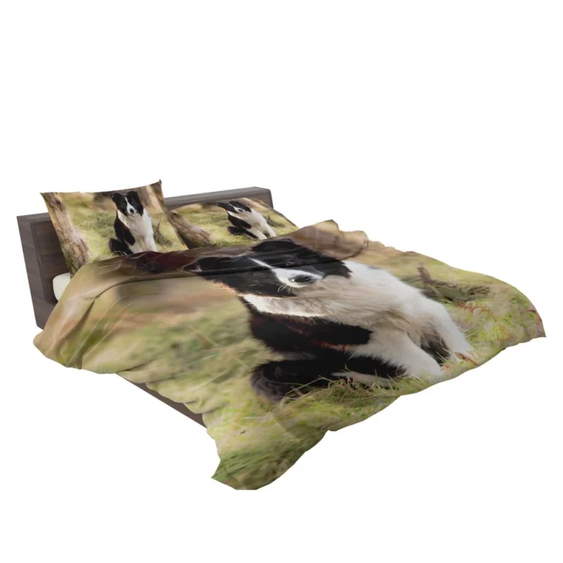 Border Collie Meadow Majesty Energetic Elegance Bedding Set 2