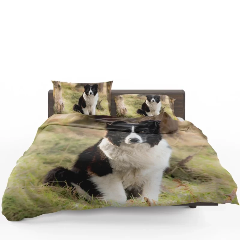 Border Collie Meadow Majesty Energetic Elegance Bedding Set