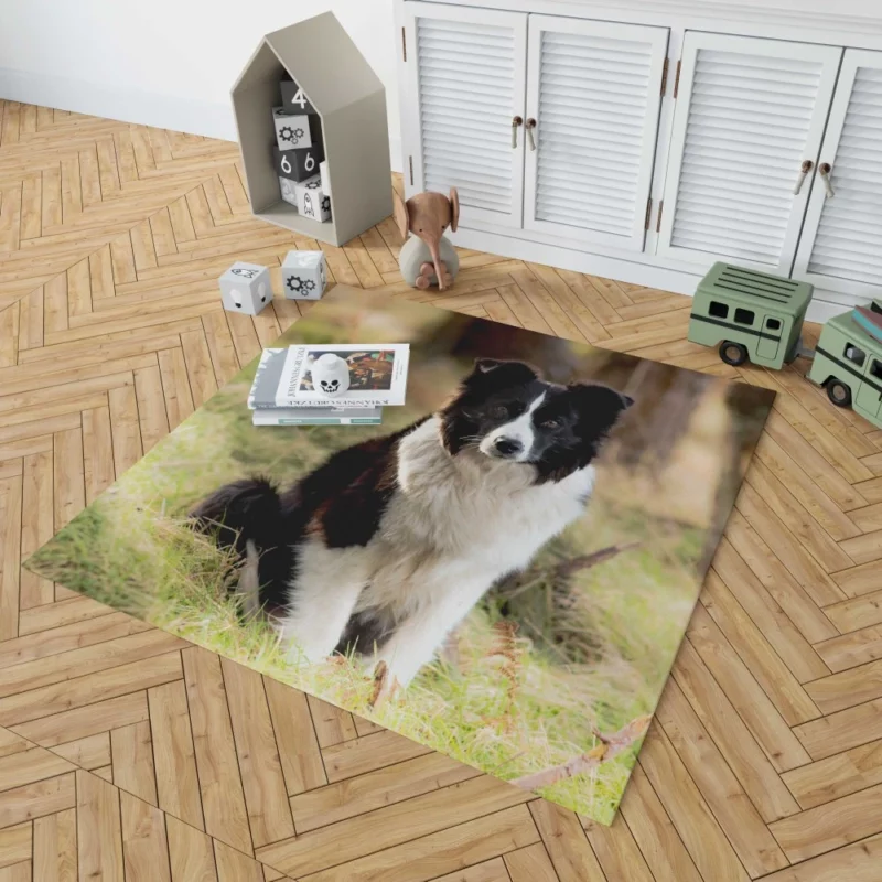 Border Collie Meadow Majesty Energetic Elegance Rug 1