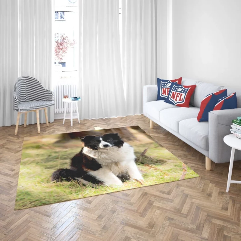 Border Collie Meadow Majesty Energetic Elegance Rug 2